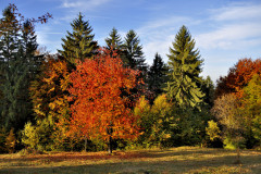 10-OCT