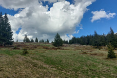 09-septembrie