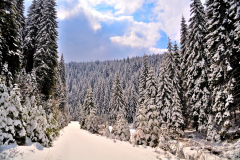 1-Ianuarie