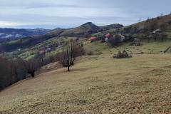 catunul-bucuru