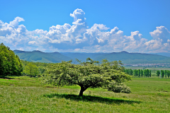 cugirul-vazut-de-la-vinerea